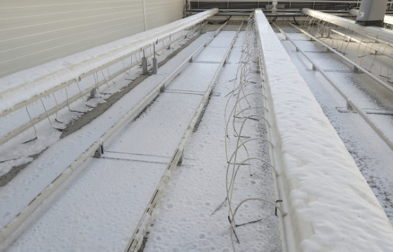 ¿Cómo desinfectar un invernadero durante el cambio de cultivo?