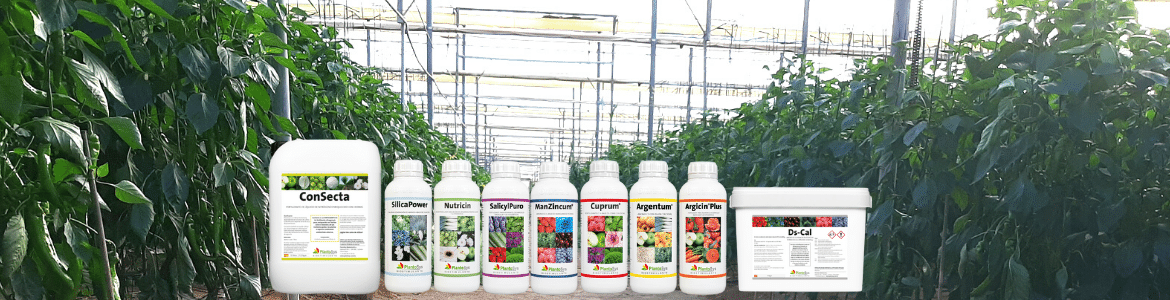 plantosys productos banner