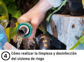 desinfeccion sistema de riego