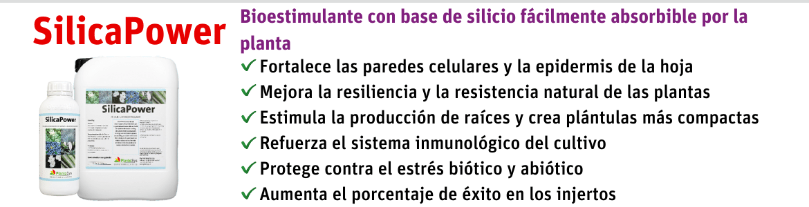 silicapower para plantulas e injertos mas resistentes