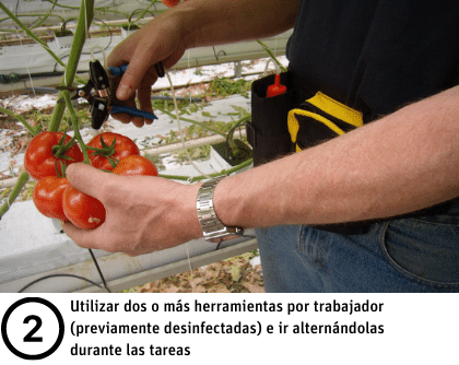 Desinfección de herramientas hortícolas