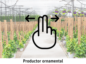 productor ornamental