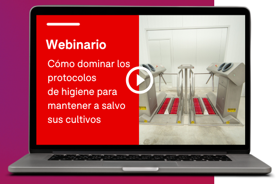 Webinar 