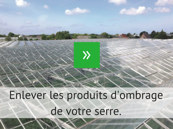 Enlever les produits dombrage de votre serre