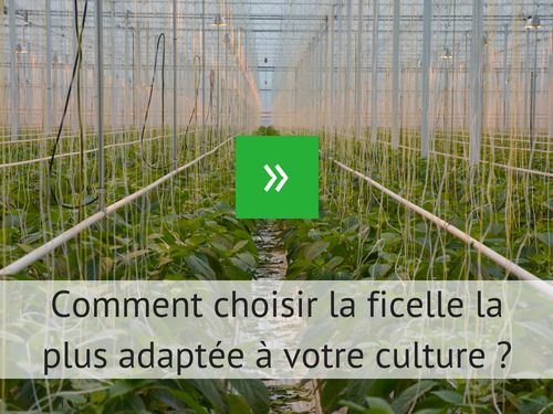 Choisir la ficelle la plus adaptée